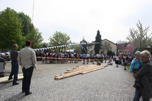 Maibaum 2013